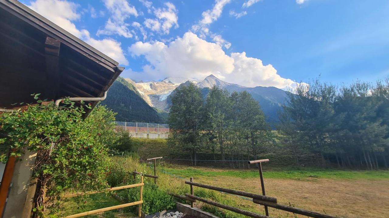 Les Bossons Studio Chamonix Bagian luar foto